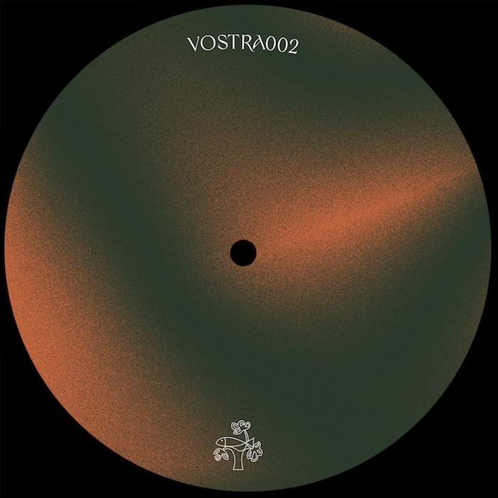 ( VOSTRA 002 ) ALICH - Play The Darkside ( 12" ) Cosa Vostra